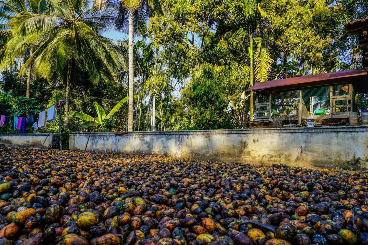 Spice Garden Farm House Sultan Bathery Exterior photo